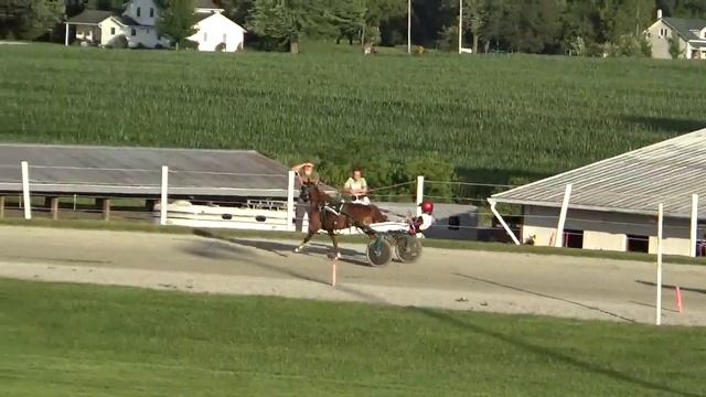 Nappanee Raceway 7-5-24 Yobro Tara wins in 1:16.3 смотреть онлайн