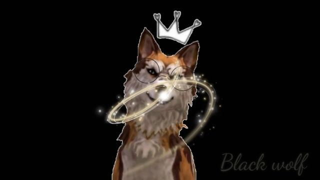 Королева танспола(WCMV) + интро❤️ смотреть онлайн