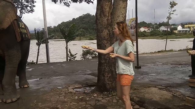 1 декабря 2017 г. смотреть онлайн