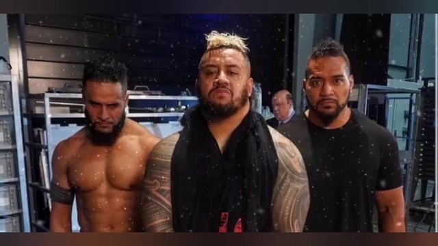 Reason behind Tonga Loa's absence on SmackDown Revealed смотреть онлайн