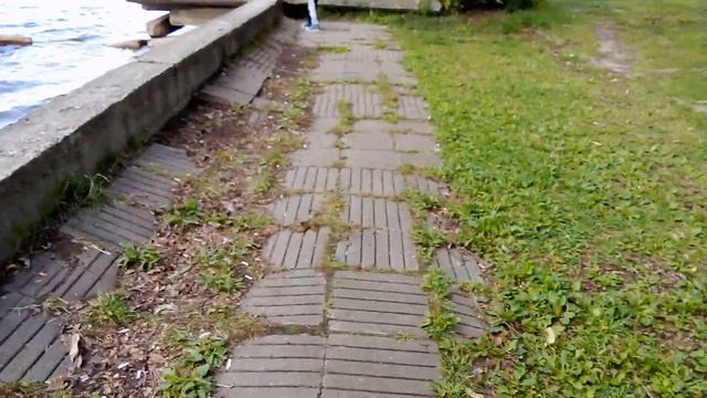 Набережная Города Гусь Хрустальный возле кинотеатра Almaz гуляем вместе и дружно 25.08.2023 смотреть онлайн