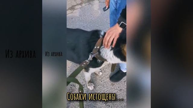 От несчастья до счастья смотреть онлайн