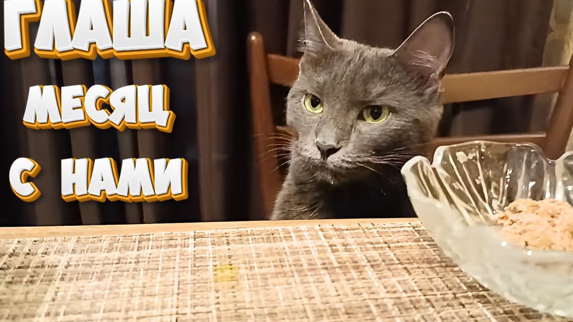 Глаша месяц с нами. смотреть онлайн