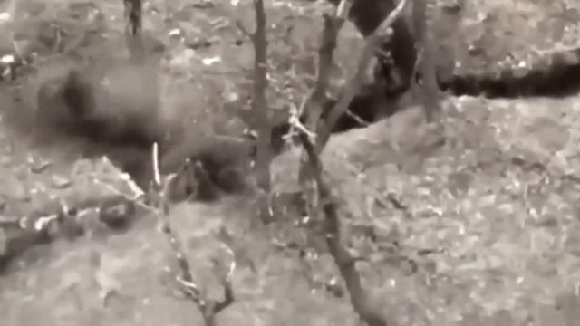 🔴 Елена Ваенга СНОВА СЛЫШУ ГОЛОС ТВОЙ смотреть онлайн