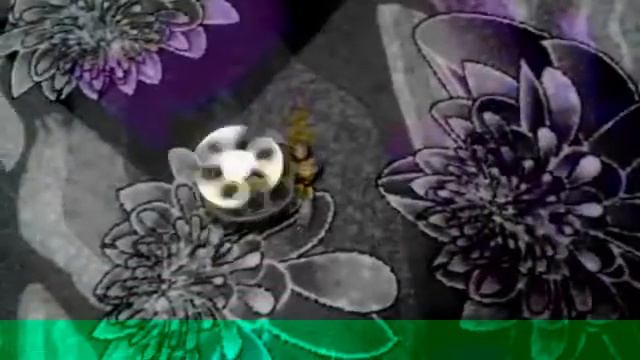 Черепаха крутит Спиннер))😂😂 смотреть онлайн