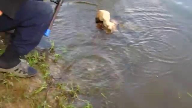 На пенопласт смотреть онлайн