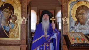 Корень всех проблем. Проповедь схиигумена Гавриила (Виноградова-Лакербая)