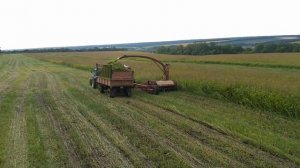 Уборка суданки на сенаж