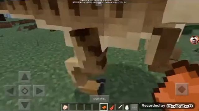 Обзор мода на Динозавров в MCPE 0.17.0 смотреть онлайн