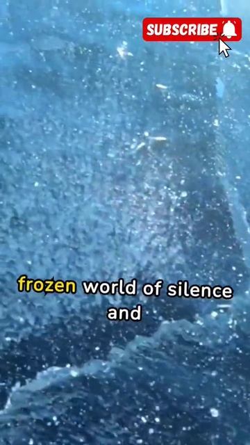 The Arctic Ocean. #geografia #geographylovers #arctic #arcticsea смотреть онлайн