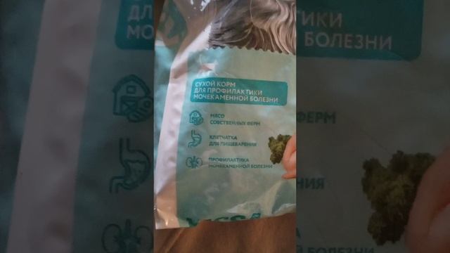 Корм Кисс смотреть онлайн