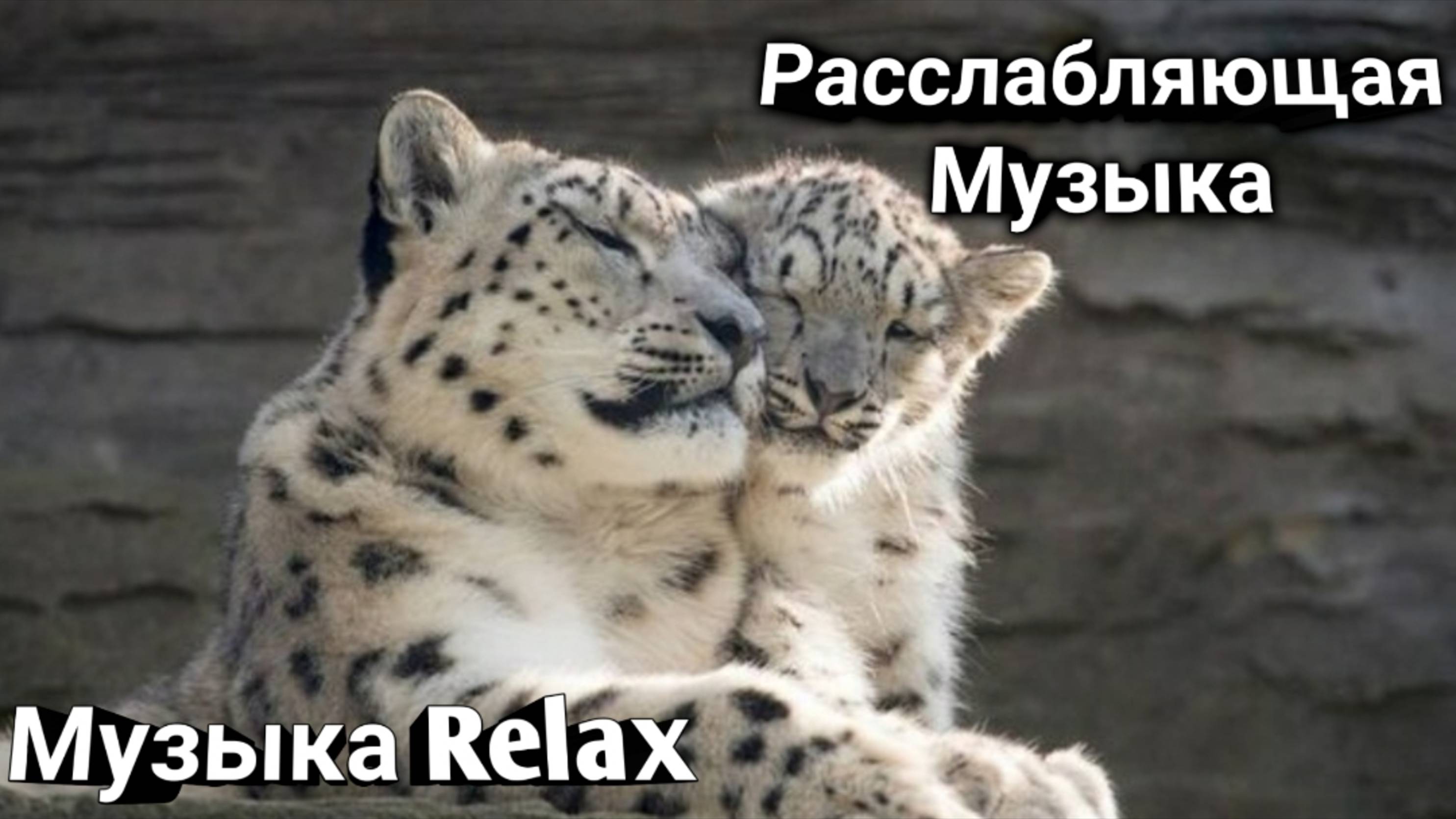 Музыка релакс
