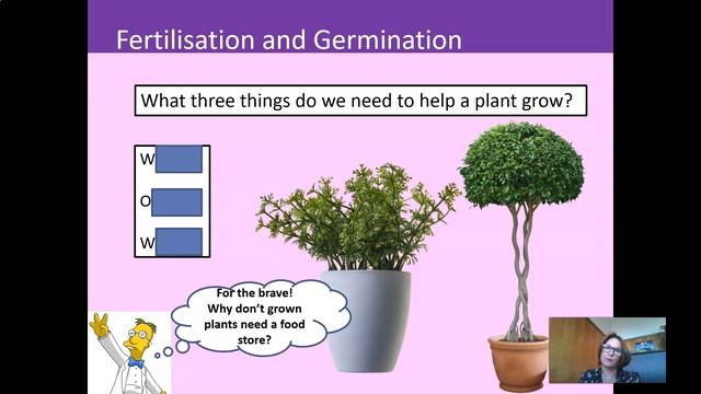 Grade 7 - Natural Sciences - Fertilization of an angiosperm / WorksheetCloud Video Lesson смотреть онлайн