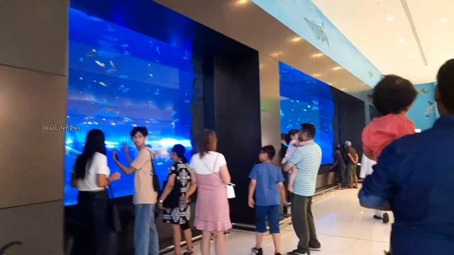 🇦🇪Dubai Mall - Worlds Largest Mall Tour in Tamil | Whats Inside Dubai Mall ? Dubai Vlog in Tamil💚 смотреть онлайн