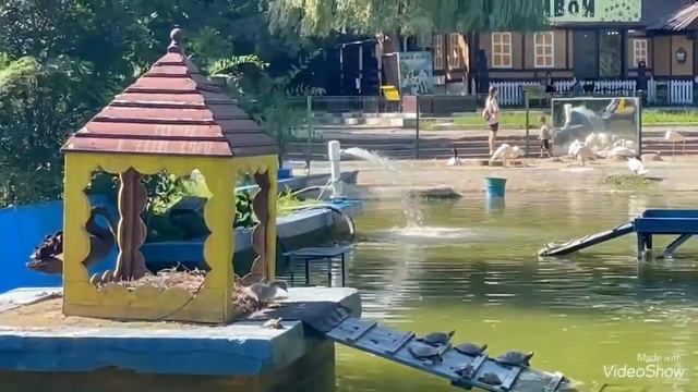 я в Ростове на дону смотреть онлайн