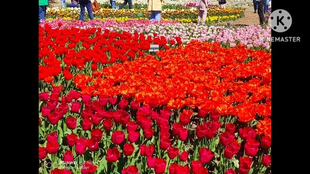 1. April 2024 смотреть онлайн
