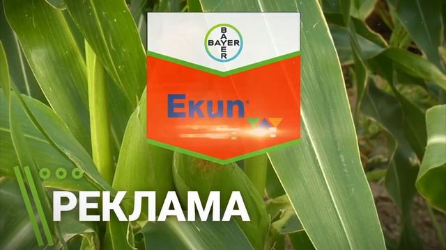 Шапка реклама - Bayer смотреть онлайн