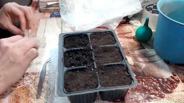 Посеяла томаты / Орехи во льду / Жизнь в селе. смотреть онлайн