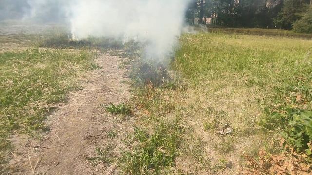 тополя, тополя все в пуху.... смотреть онлайн