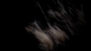 рыбалка на озере чаны , вода просто кипит от рыбы