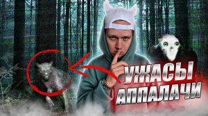 РЕАЛЬНЫЕ ТАЙНЫ и УЖАСЫ гор Аппалачи: духи и скинволкеры