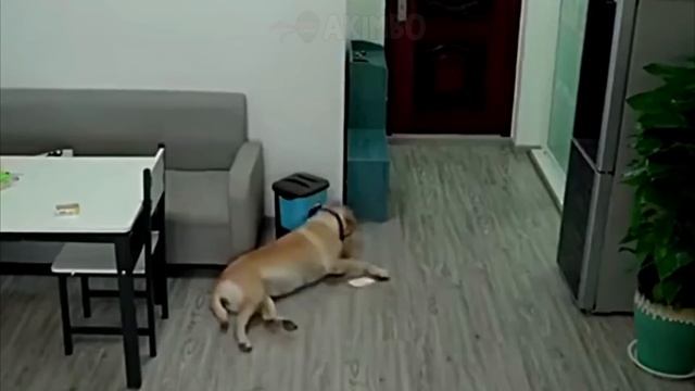 She Didn’t Know That A Camera Was Watching Her! 😳 смотреть онлайн