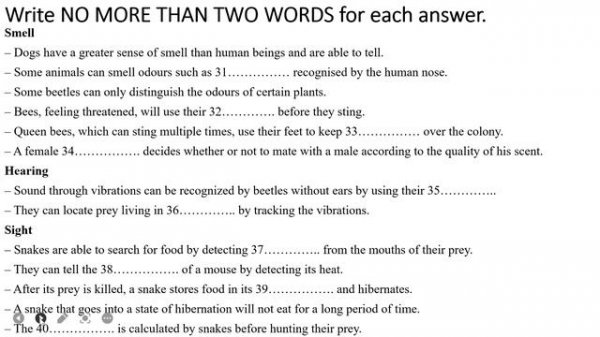 MINI IELTS Listening | ANIMAL SENSE | Listening with Online IELTS Test