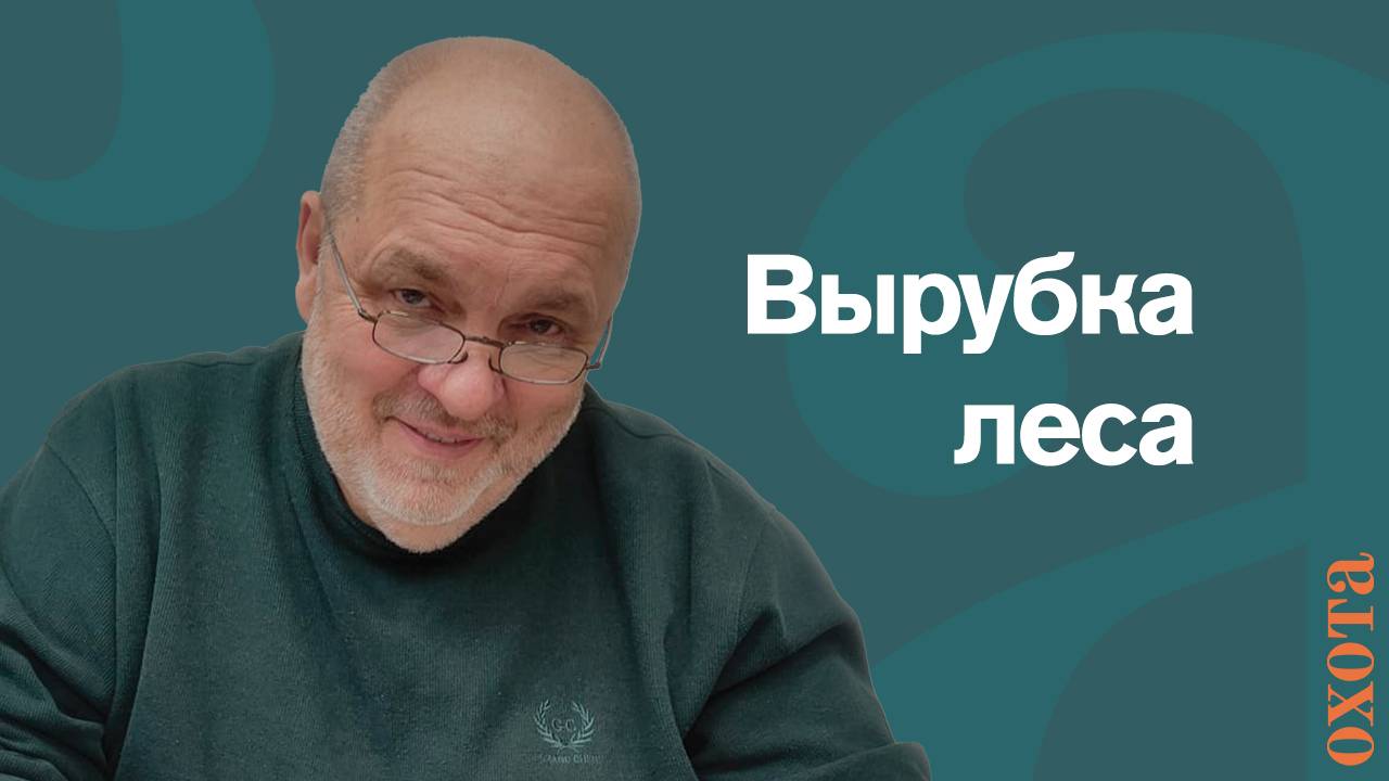 Вырубка леса. Валерий Петрович об ответственности за вырубку.