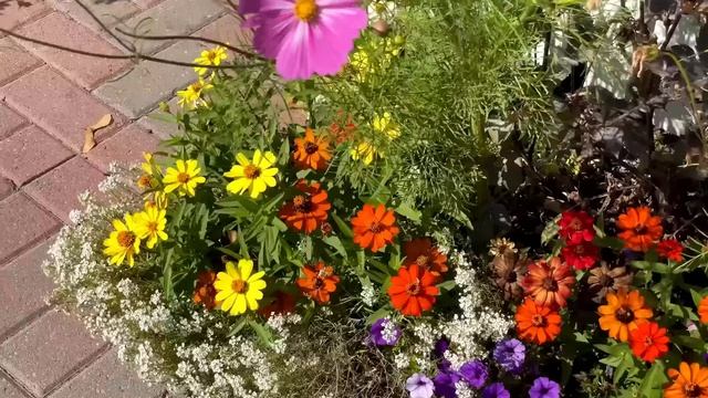 Feel the Rhythm Best of Rock 'n' Roll Golden Era 💃🕺 смотреть онлайн