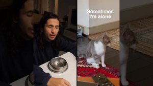 The Kiffness x Lonely Cat - Sometimes I'm Alone (Singing Cat)