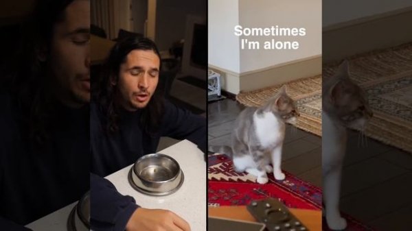 The Kiffness x Lonely Cat - Sometimes I'm Alone (Singing Cat)