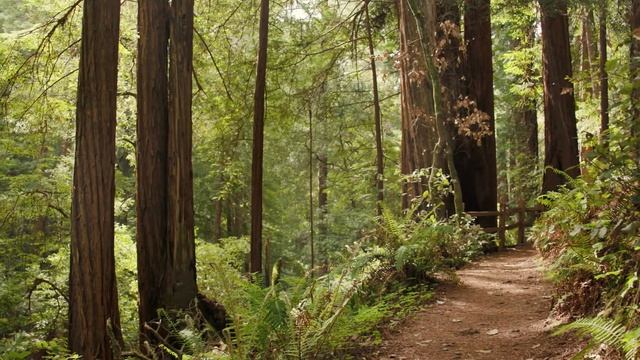 Off the Beaten Path - Marin County Tourism смотреть онлайн