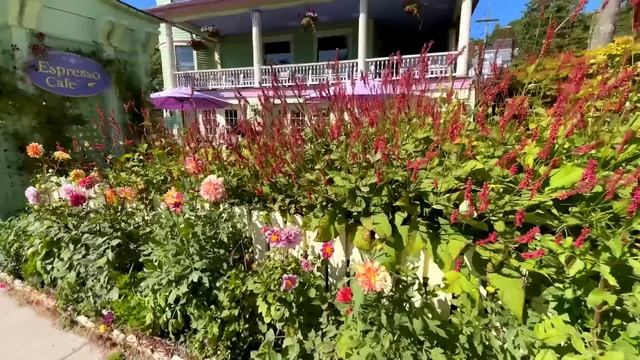 Rock 'n' Roll Explosion Dance Your Heart Out! 🎤⚡ смотреть онлайн