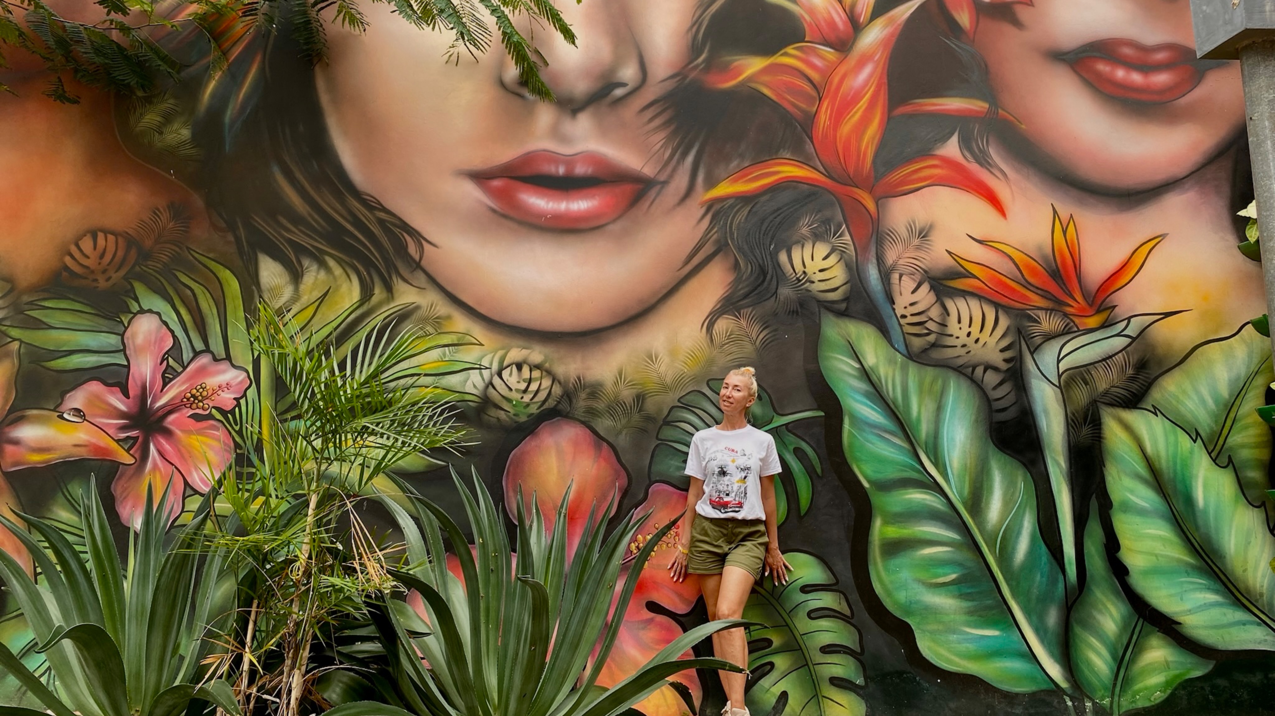 Куба в январе 2025. Плохая погода😩 смотреть онлайн