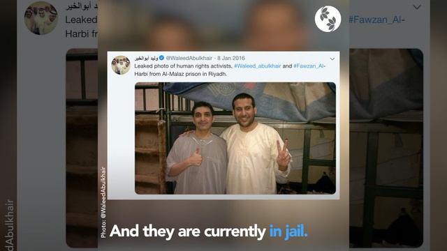 al-Hamid, al-Khair & al-Qahtani: Reformers of the totalitarian political system in Saudi Arabia смотреть онлайн