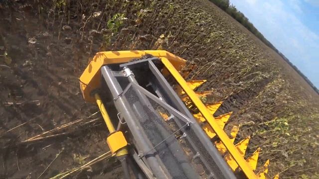 уборка подсолнечника Sunmaster NEO 7.0 (Санмастер Нео) смотреть онлайн