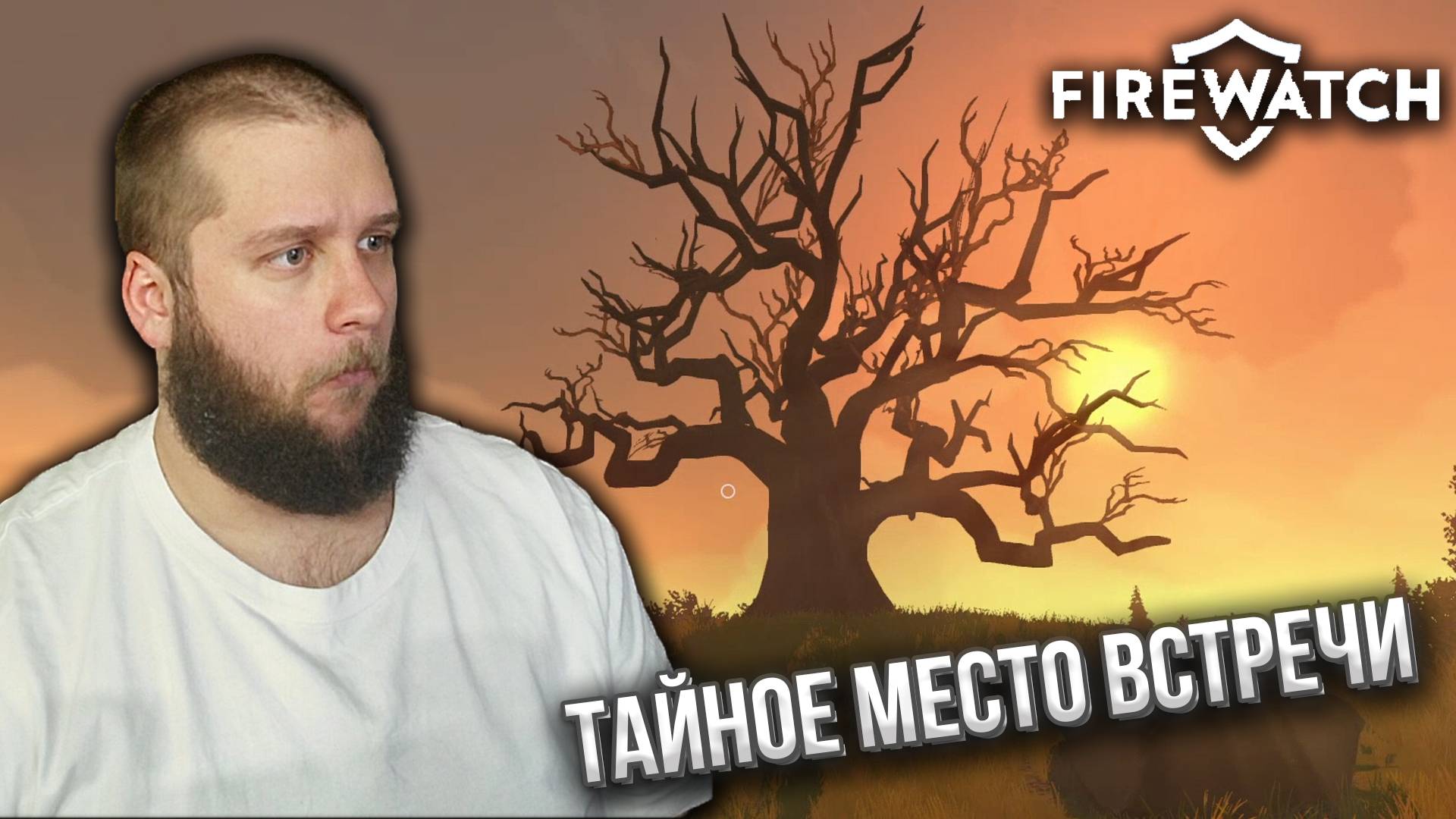 МЕНЯ ПРОСЛУШИВАЮТ // Firewatch #4
