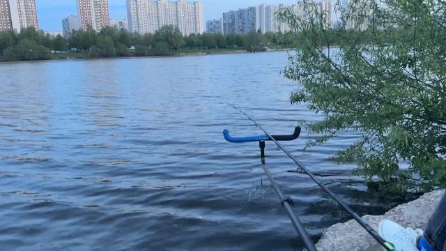 Поехали в парк. Отдохнули. Схватили карася и ЛЕЩастых смотреть онлайн