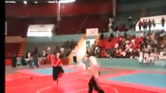 Christophe Pinna - Seminario Internacional de Kumite 2010 - APCNKS - Presentación Baile Tondero смотреть онлайн