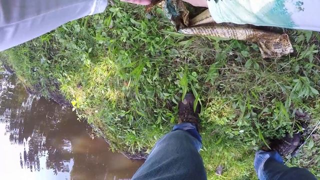 Urban Pond Fishing in New Jersey - UL Tackle for Species Assessment смотреть онлайн