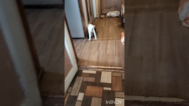 Весна смотреть онлайн