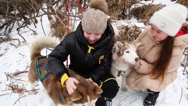 Наши девченки!!!!Новогодний хит!!!!Павлодар!!! смотреть онлайн