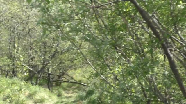 VLOG/ ЛЕНА ТЫ ХОТЬ СИДИШЬ ИНОГДА/ МОИ РОДНЫЕ ЛЮДИ/ 8 июня 2021 смотреть онлайн