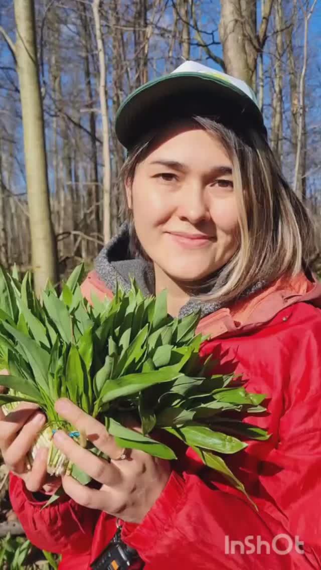 первая ЧЕРЕМША, салат из черемши, рецепты грибников! смотреть онлайн