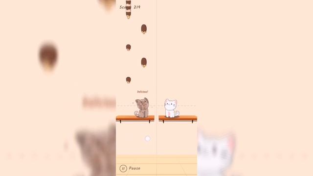 Duet cats - Dance monkey смотреть онлайн