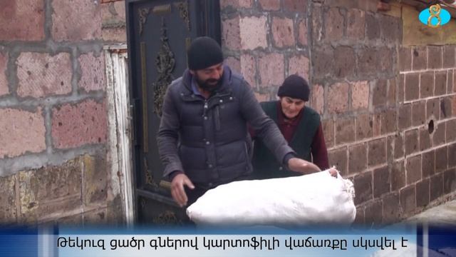 Продажа картофеля по низким ценам. Թեկուզ ցածր գներով կարտոֆիլի վաճառքը սկսվել է смотреть онлайн