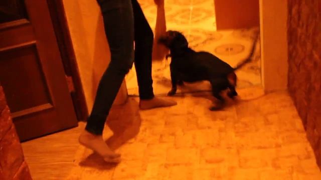 УБИРАЕМСЯ ДОМА