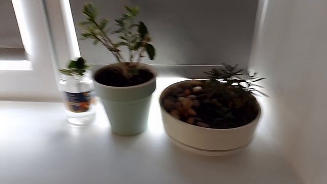 Пять Ночей С Игрушками (Ночь 2) смотреть онлайн