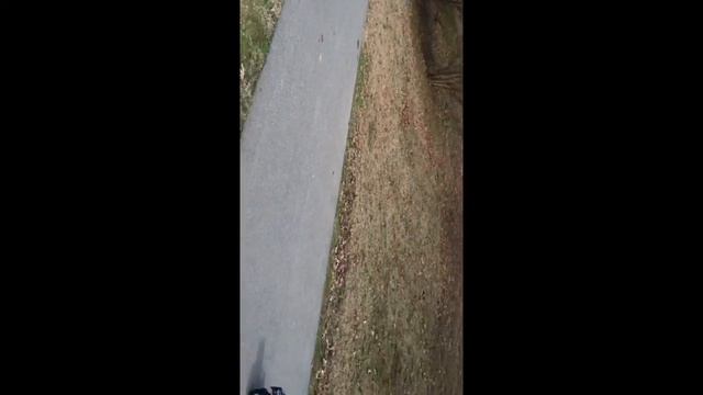 Traxxas Monster Jam Son uva Digger смотреть онлайн