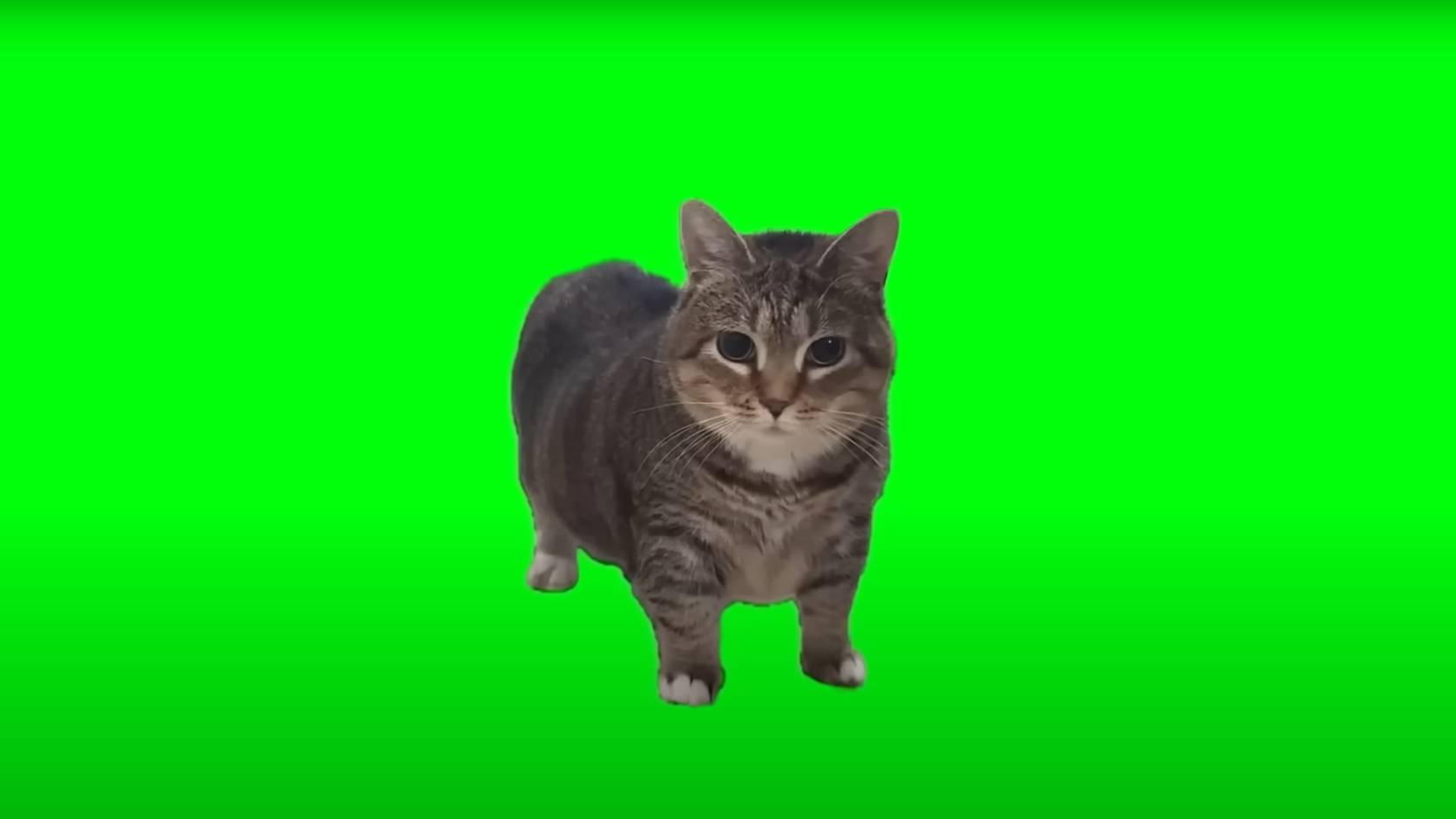 W&W - OIIA OIIA смотреть онлайн